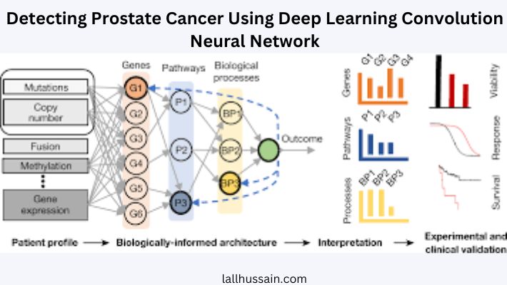 What Is Deep Learning? How It Is Helpful In Detecting Prostate Cancer ...